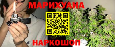 шишки Гатчина