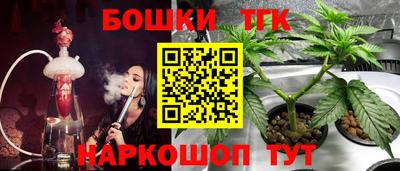 шишки Гатчина