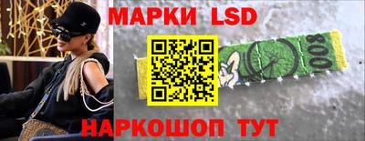 шишки Гатчина
