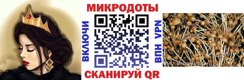 Псилоцибиновые грибы Cubensis  Нягань 